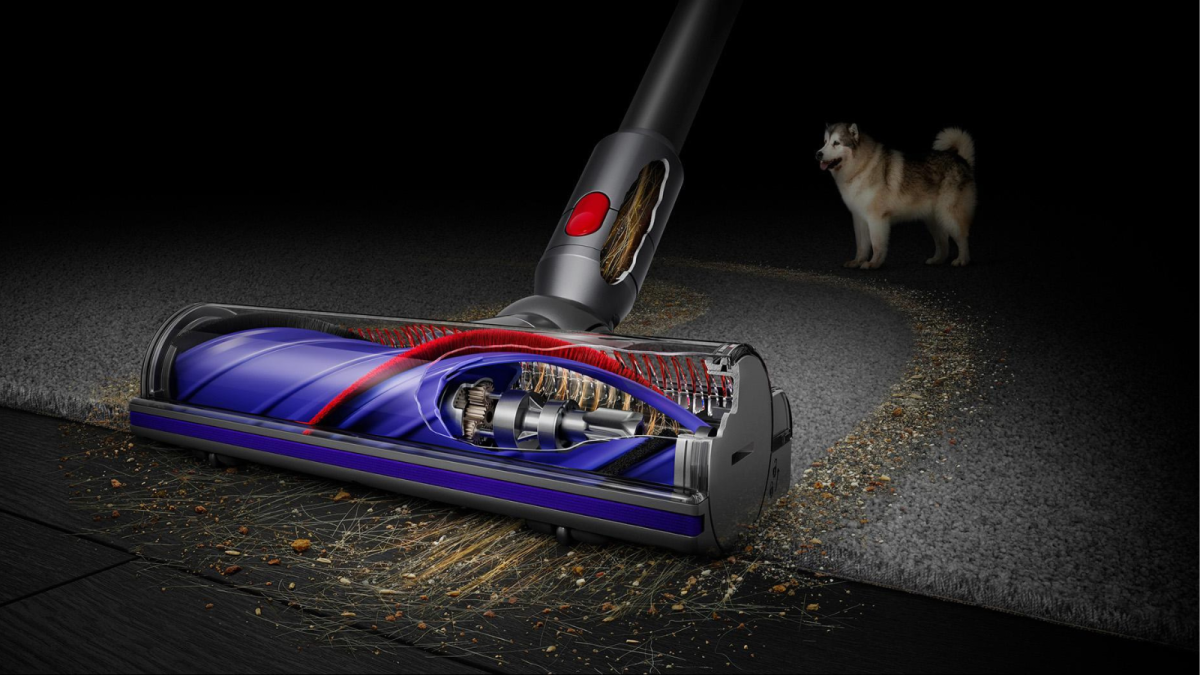 Bon plan Dyson V8 : booster votre présence digitale