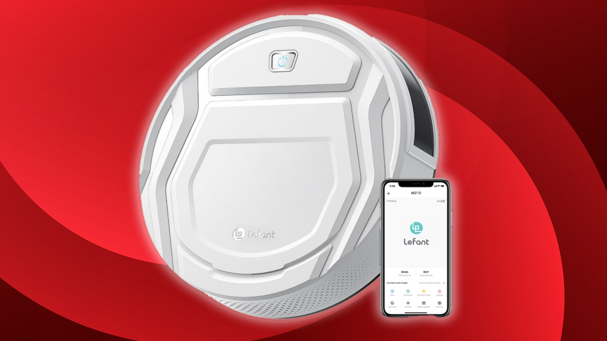 Robot aspirateur connecté : l'automatisation au service de votre PME