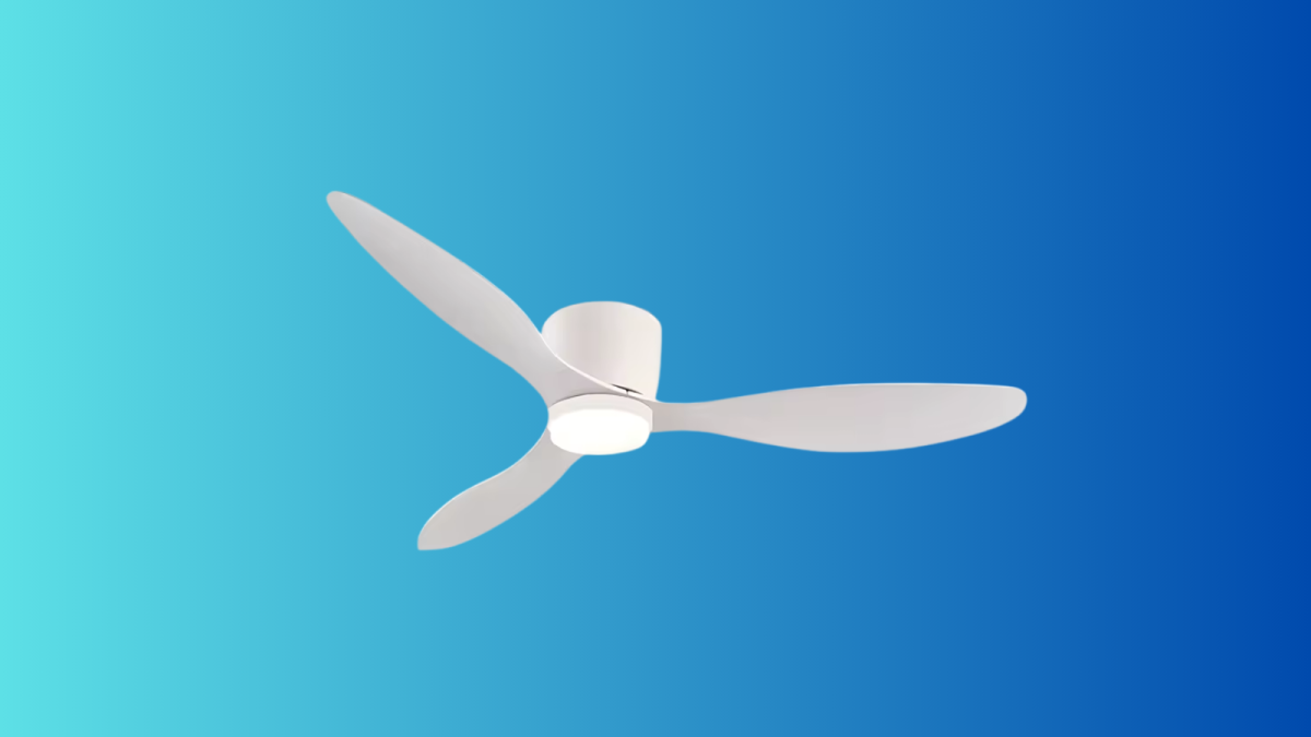 Ventilateur 2-en-1 à 50€ : l'été digital des entreprises