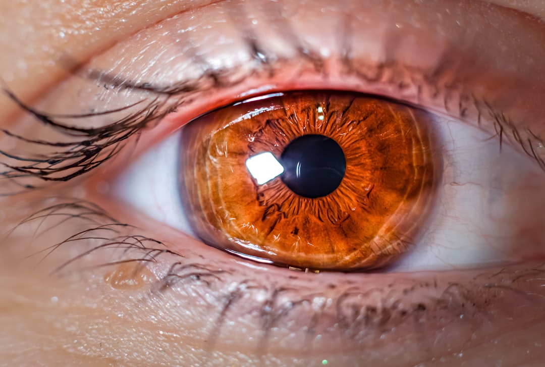 A retinal reboot for amblyopia