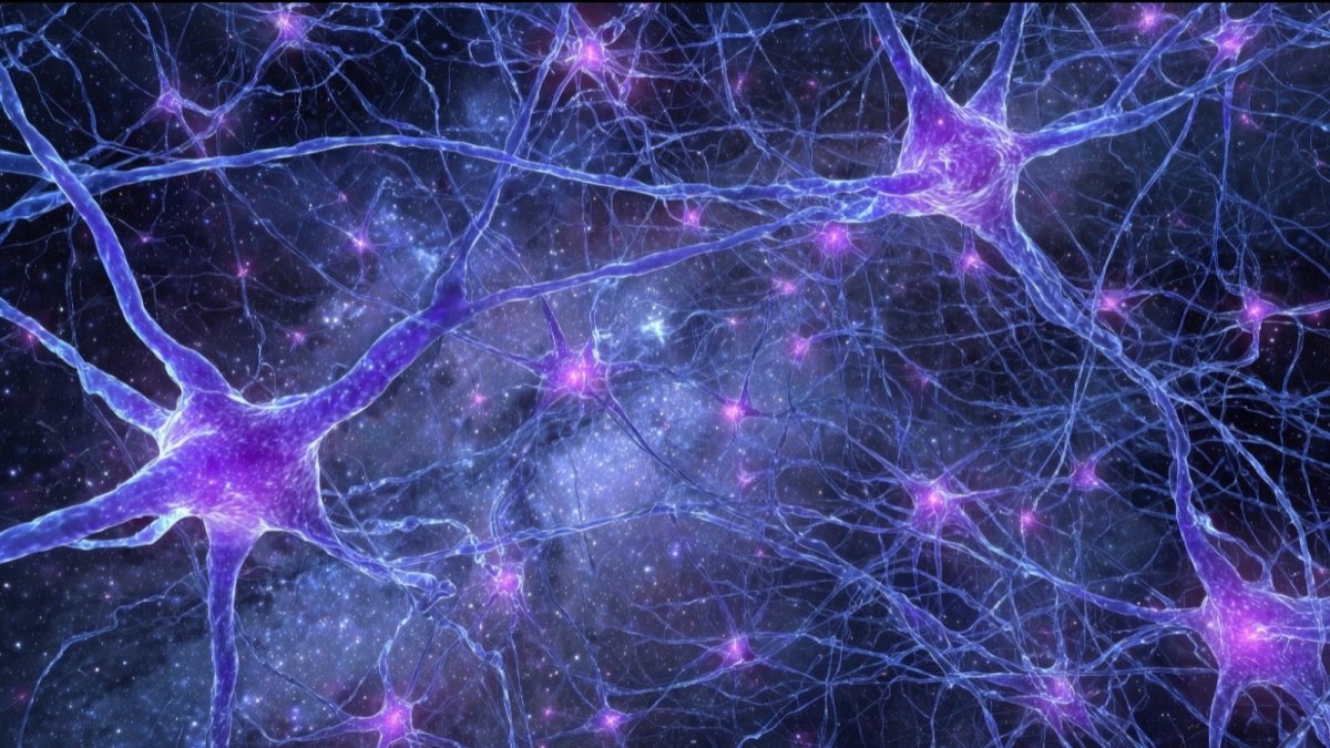 Neurones humains et IA : quel impact pour votre business ?