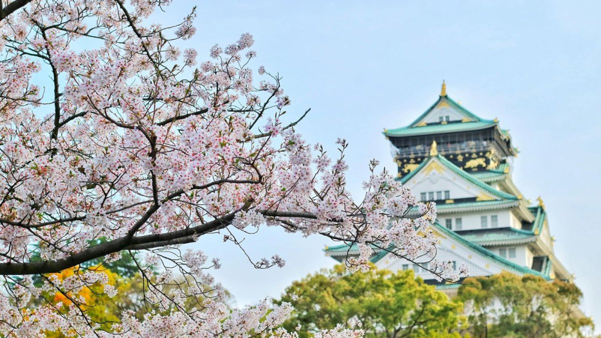 eSIM pour Entreprises : Votre Stratégie de Connexion Digitale au Maroc