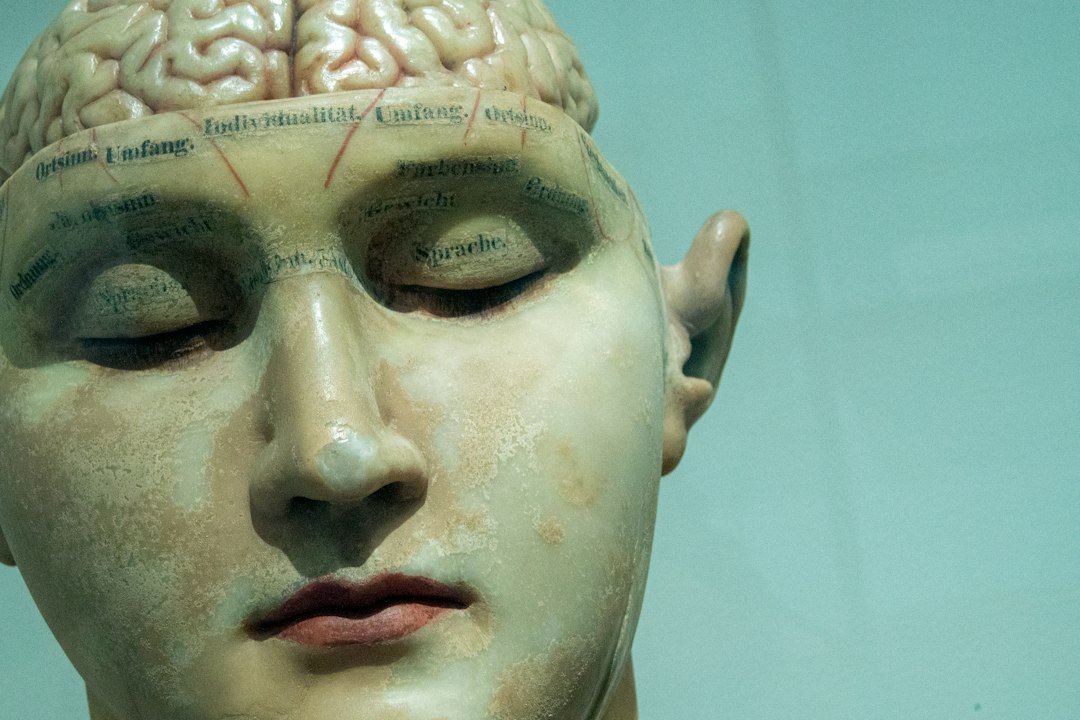 An AI “mind-reading” tool can reconstruct what you’re looking at based on a brain scan
