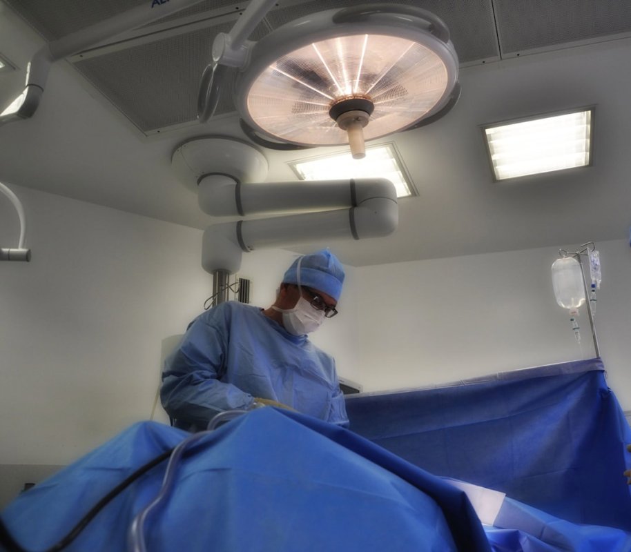 An experimental surgery is helping cancer survivors give birth