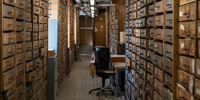 Cyberattaque au Muséum : Une Leçon Cruciale pour la Sécurité Digitale des Entreprises