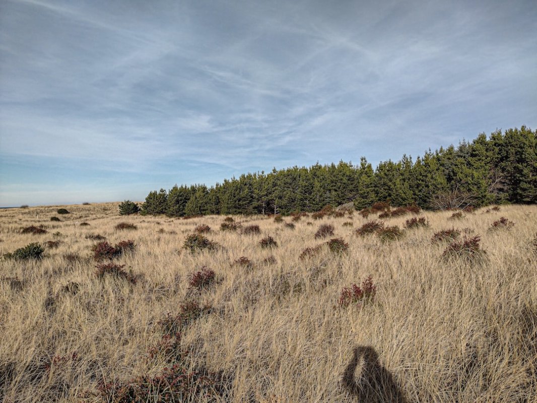 Avec OCR 3, Mistral AI chasse sur les terres de Google Document AI et Azure AI Vision