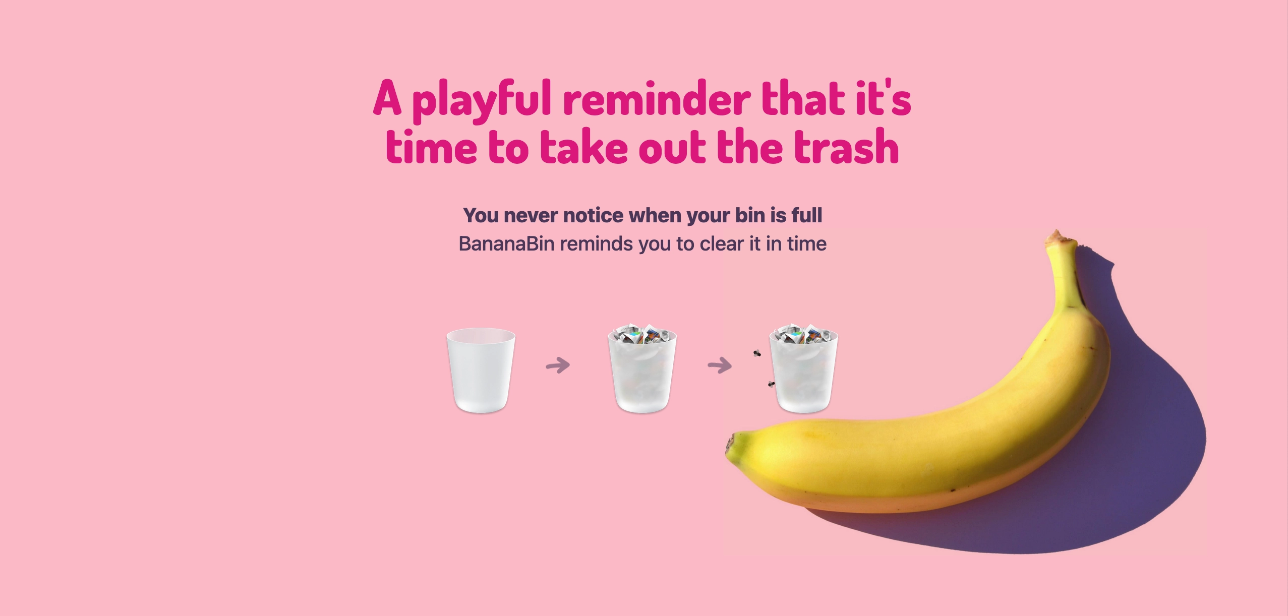 Des mouches pour vous rappeler de vider votre corbeille sur Mac