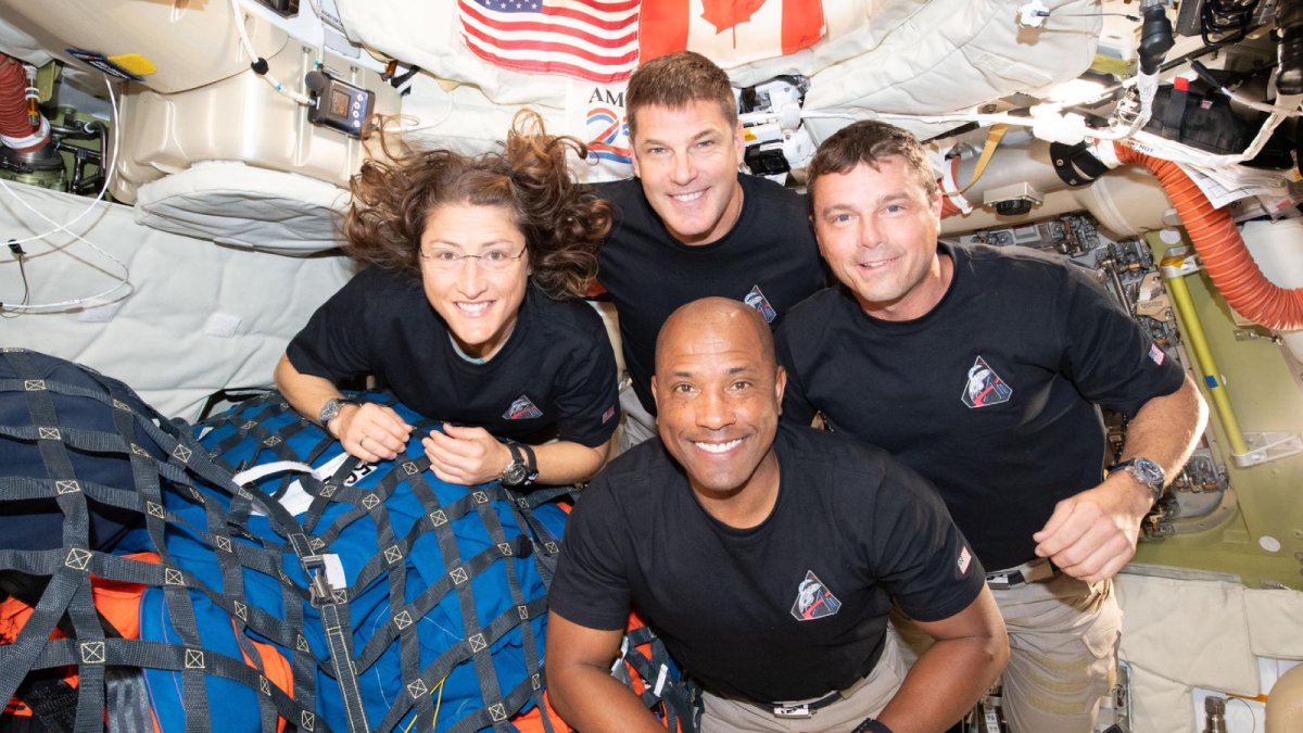 Stratégie Digitale : Atterrissez Votre Marque en Tête des Résultats