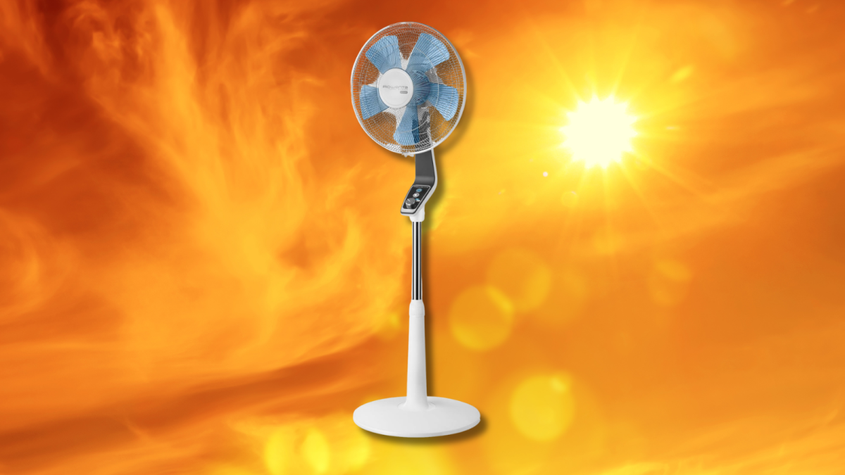 Canicule et SEO : booster votre présence digitale au Maroc