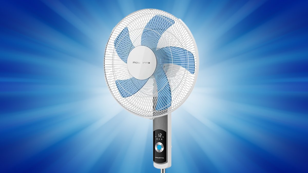 Canicule et SEO : optimisez votre site pour l’été au Maroc