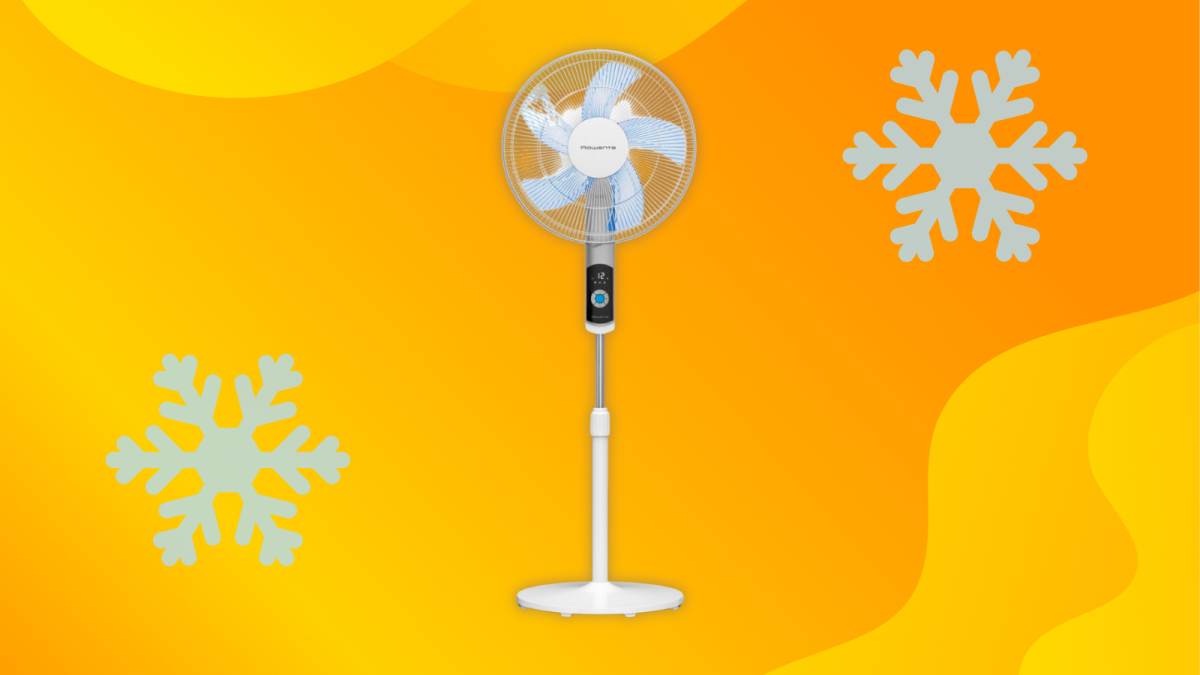 Optimisation digitale face à la canicule et au Prime Day