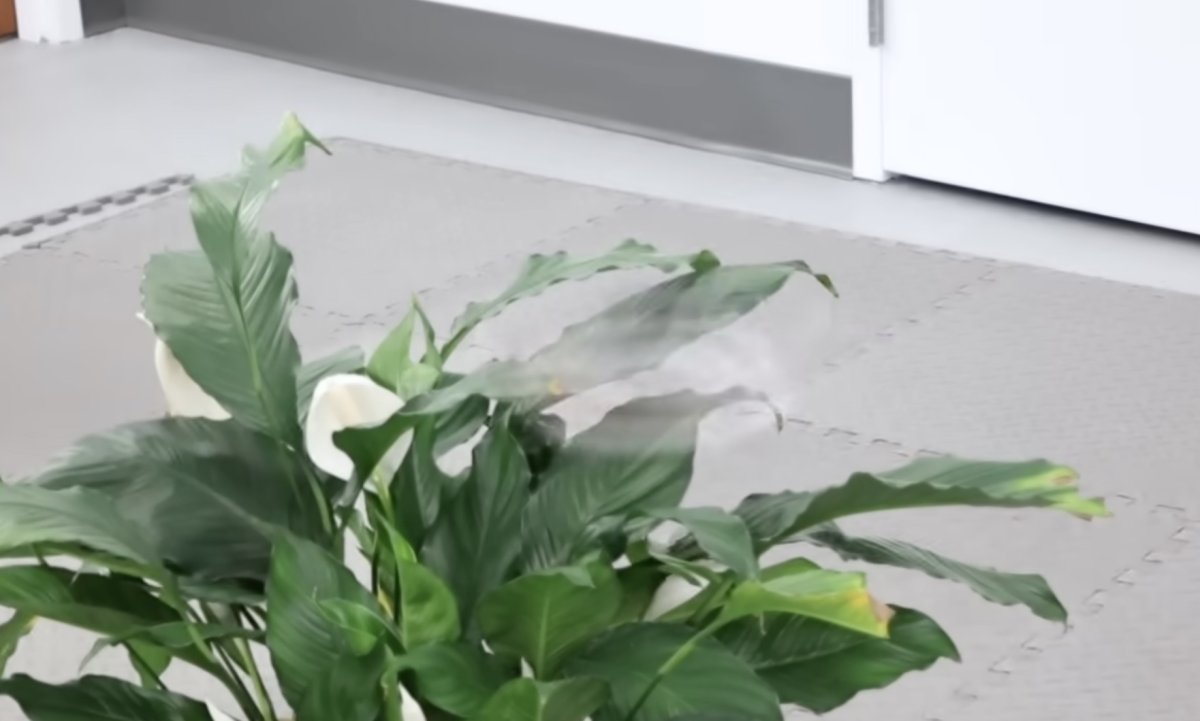 Phantom Twist : l’innovation qui inspire le marketing digital