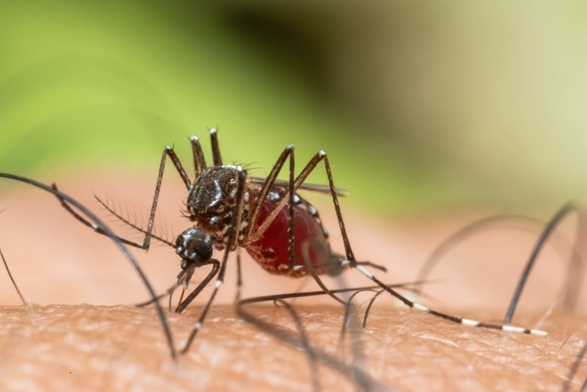 Innovation Digitale : Stratégies pour Propulser Votre Entreprise au Maroc