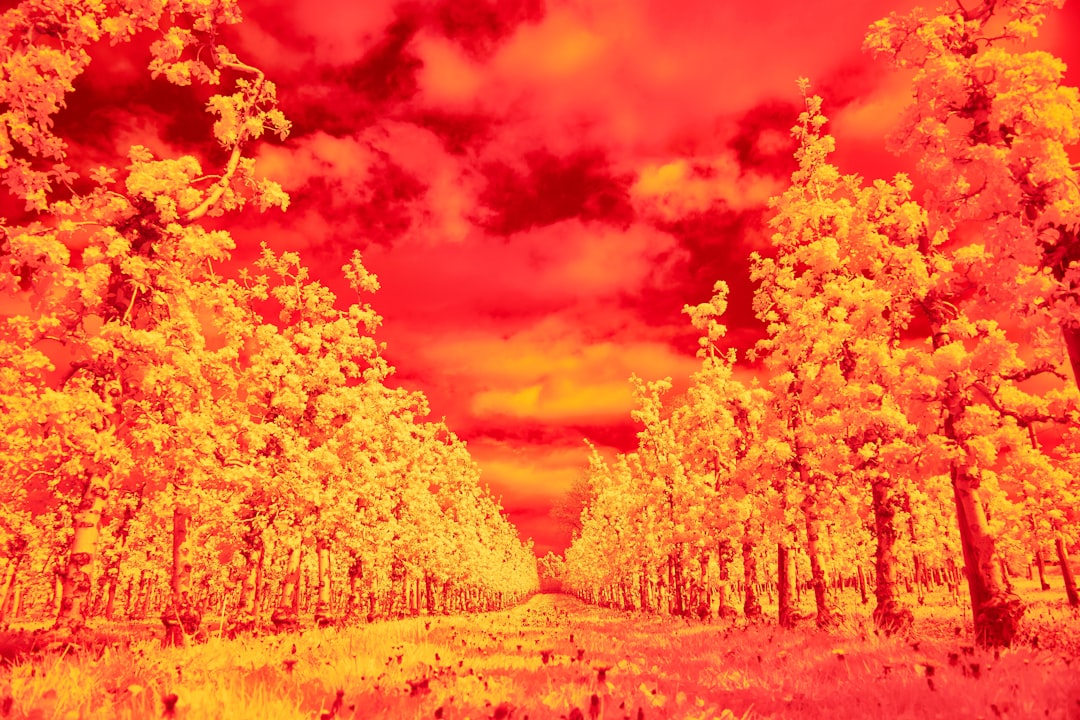 Coming soon: Our 2025 list of Climate Tech Companies to Watch