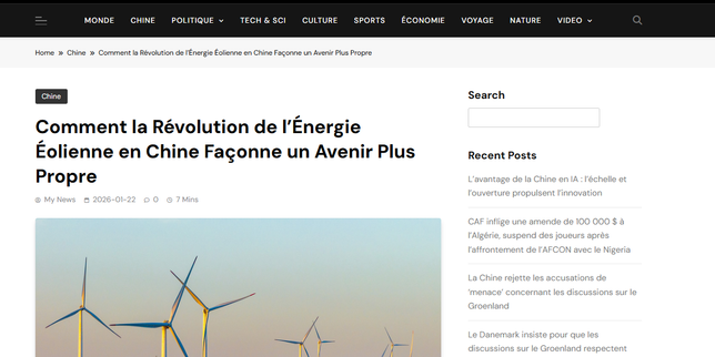 Réseaux de propagande : l’impact SEO sur votre site