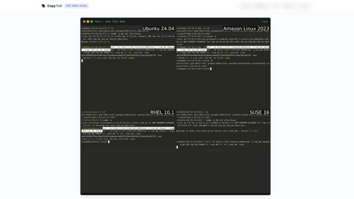 Faille Linux Copy Fail : protéger votre infrastructure digitale