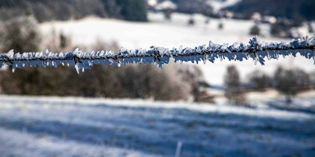 Coup de chaud sur la chaîne du froid : au tour de Dixell