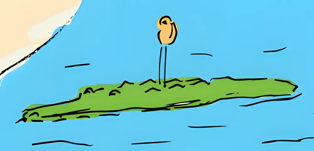 Croc - L'outil ultime pour transférer des fichiers entre deux ordis