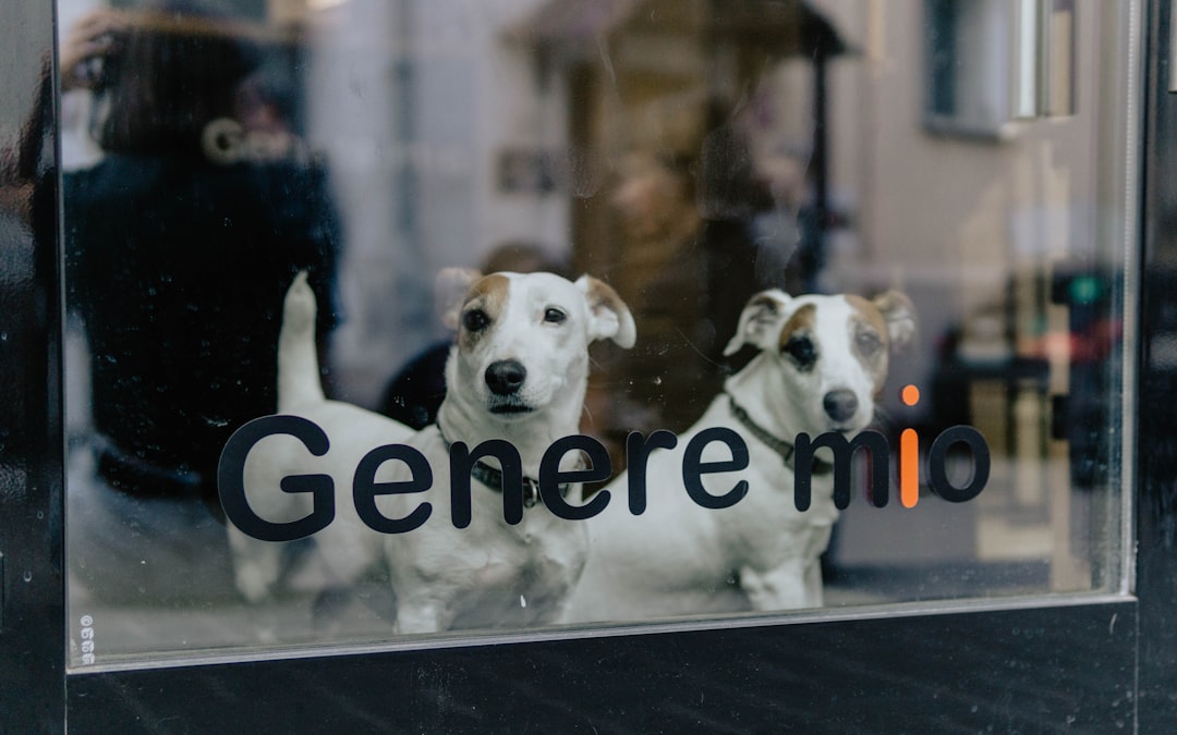 CX : Salesforce et ServiceNow investissent dans Genesys