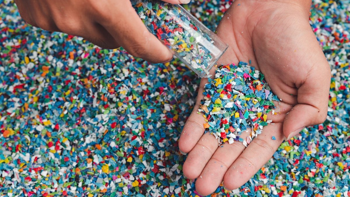 Plastique biodégradable : l'innovation qui inspire le marketing digital