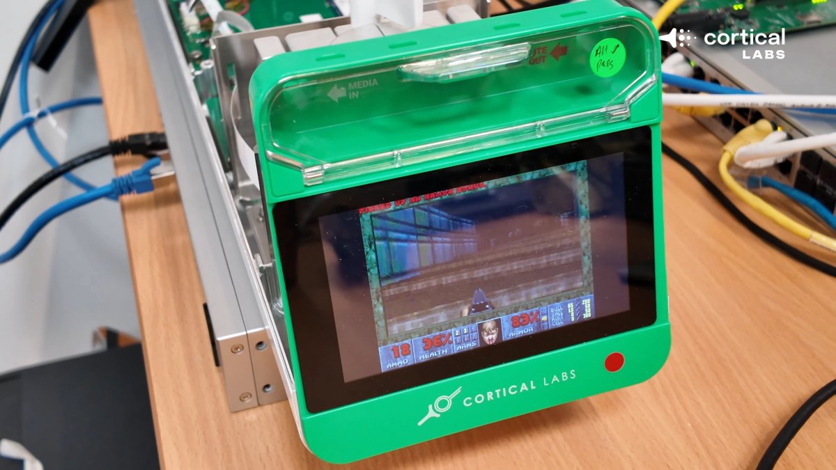 Des chercheurs font tourner Doom sur des neurones humains