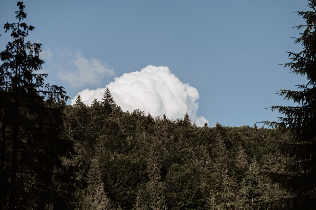 Eau, GES, énergie : les géants du cloud de plus en plus sous pression