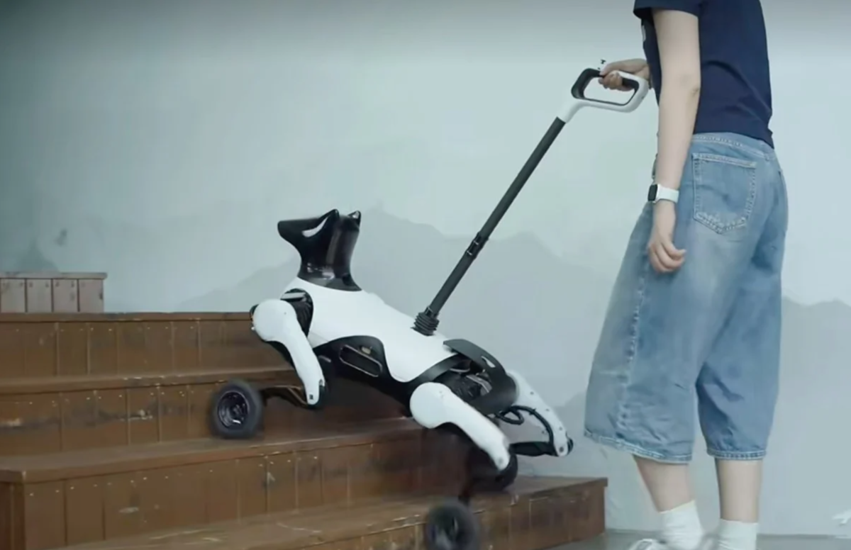 Chiens-robots en Chine : quelles leçons digitales pour le Maroc ?