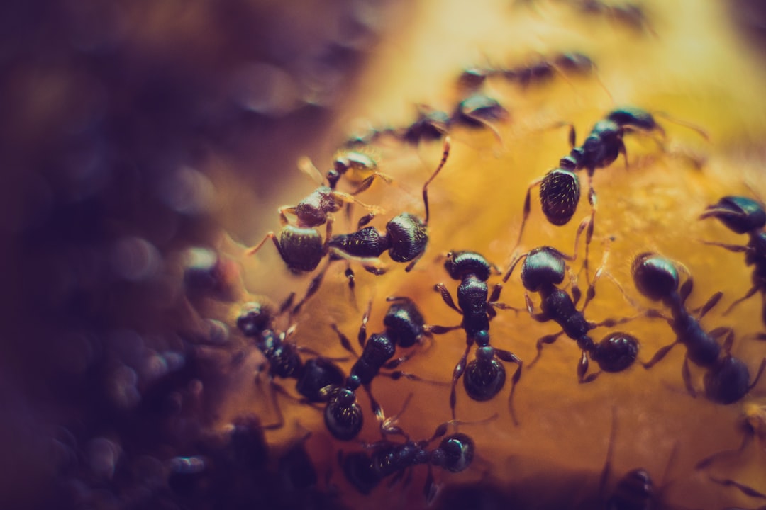Extraction de données de l’ANTS : un adolescent de 15 ans interpellé