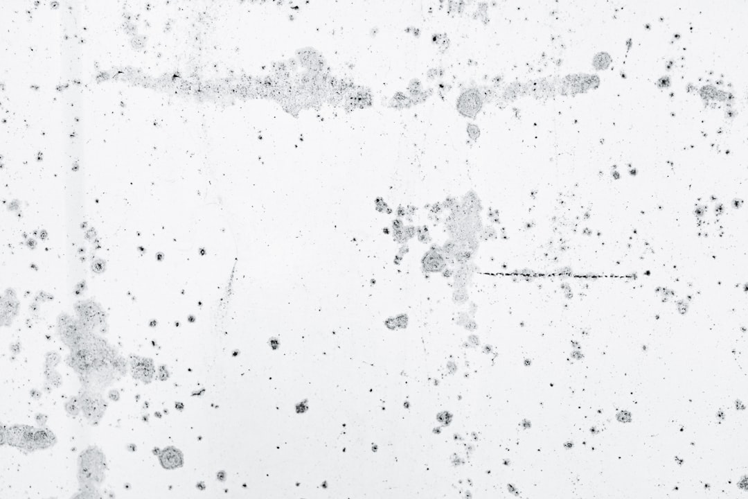 Fabric : face à Snowflake et Databricks, Microsoft met les bouchées doubles