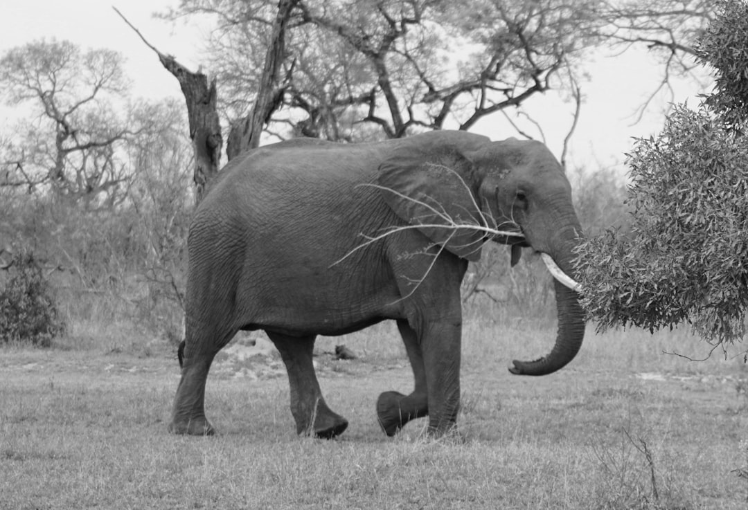 Le Fediverse, l'avenir des réseaux sociaux pour les marques