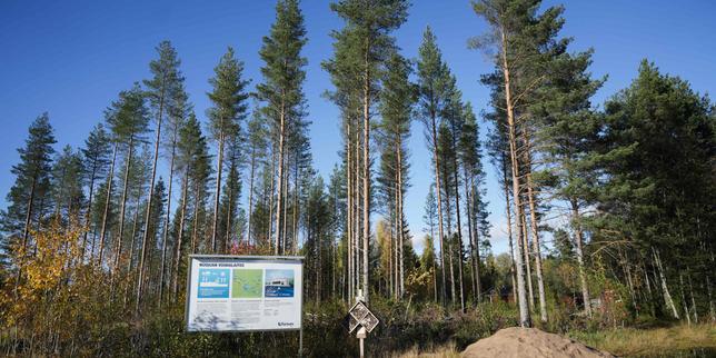 Finlande : Google, accusé d’avoir fait raser 300 hectares de forêt, sommé de suspendre la construction de data centers