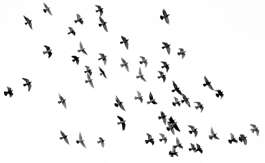 Flock is tightening its rules in response to a growing surveillance backlash
