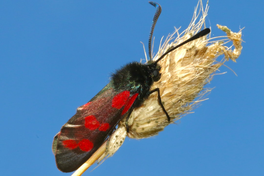 Flutter 3.35 : vive le hot load