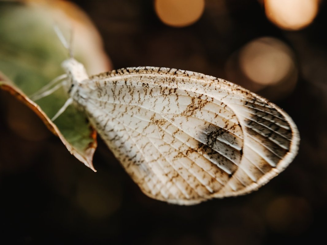 Flutter 3.47 : quoi de neuf ?