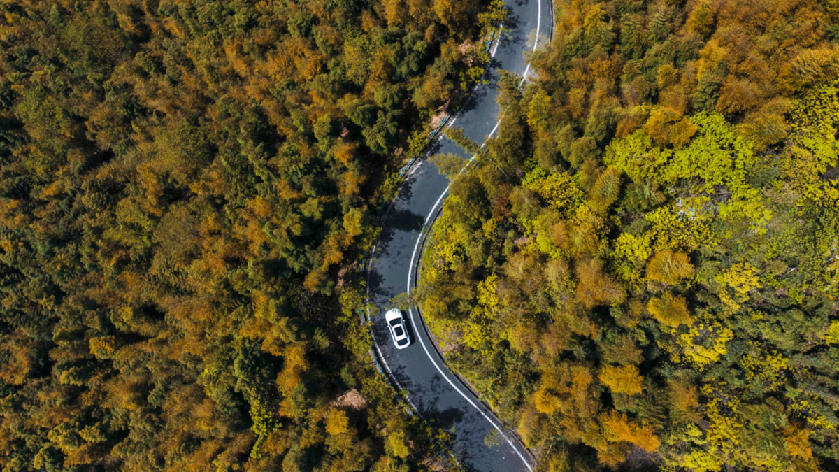 Geely en France : stratégie digitale d'un géant chinois