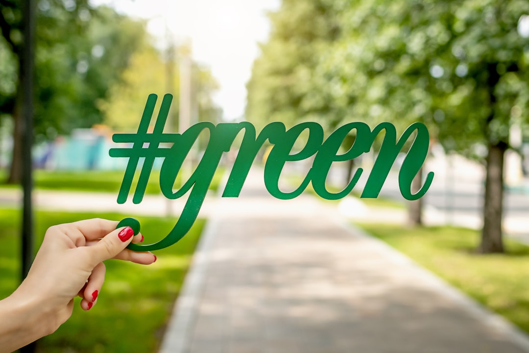 Green IT : comment les datacenters ont perdu la motivation écologique