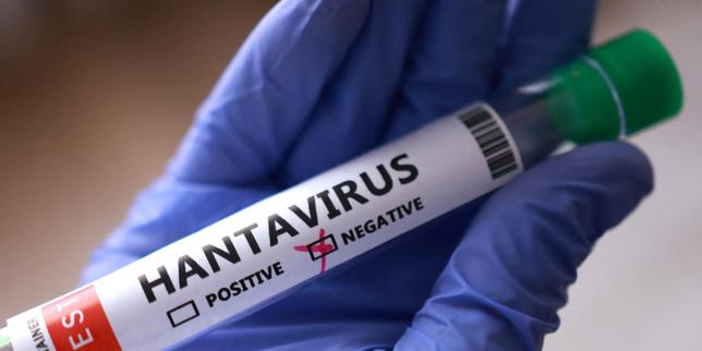 Hantavirus : comment les théoriciens du complot du Covid-19 recyclent leurs récits