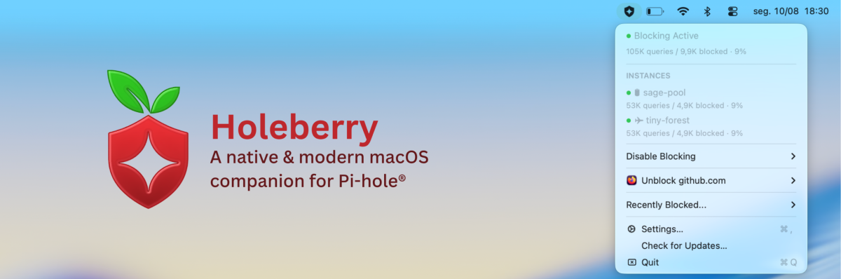 Pi-hole macOS : optimisez votre réseau d'entreprise