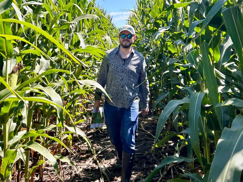 How engineered microbes could help feed the world’s crops
