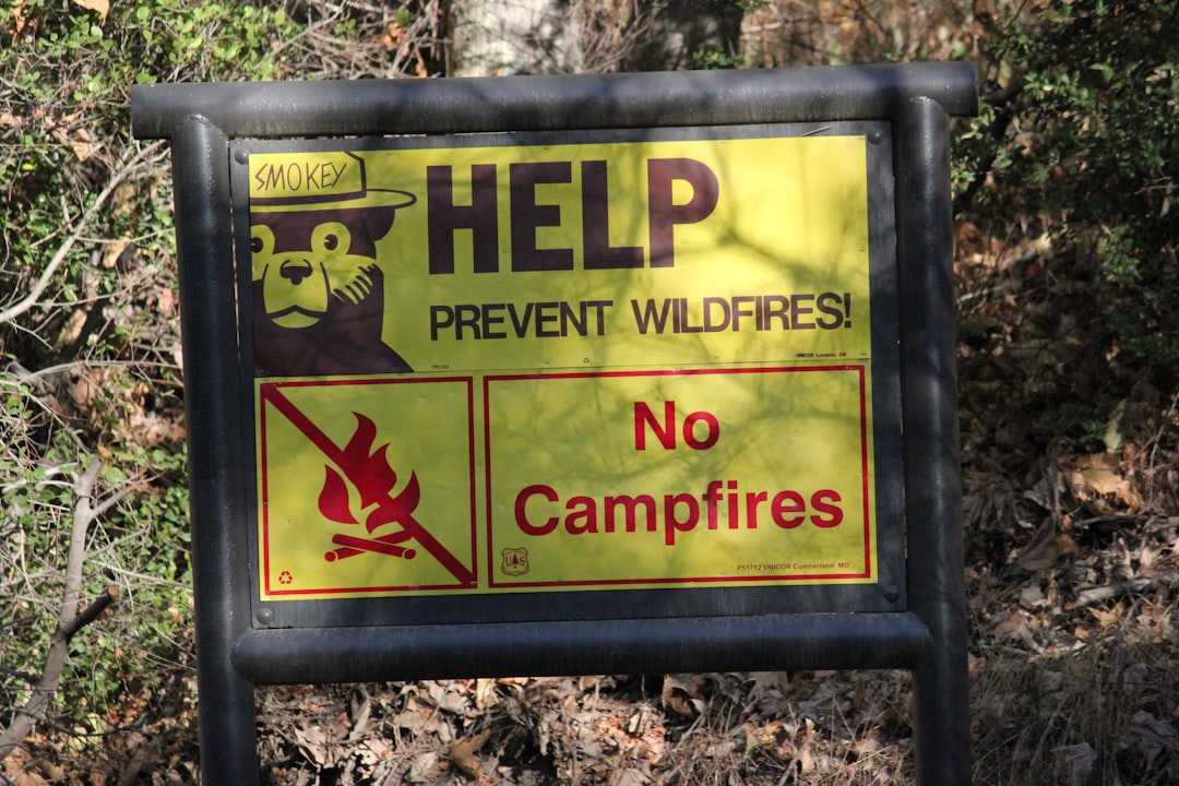How much wildfire prevention is too much?