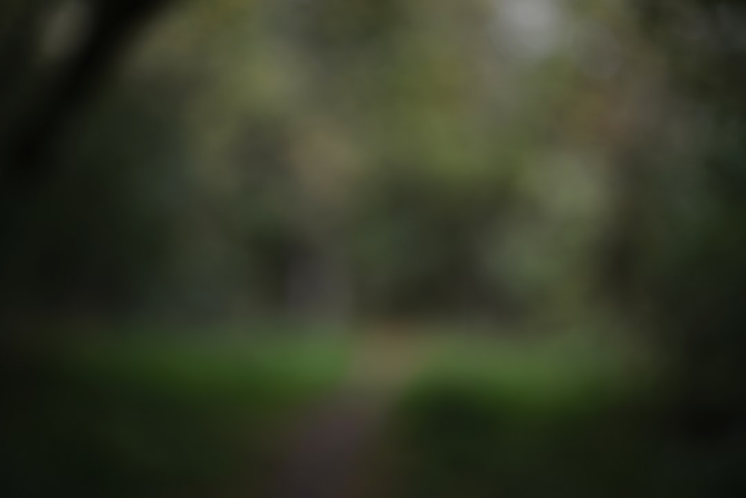 IA de défense : Harmattan IA lève 200 millions de $ et se rapproche de Dassault Aviation