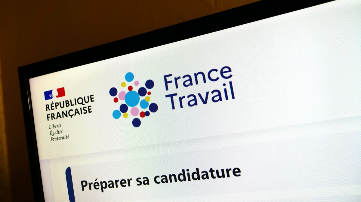 Il invoque un jumeau numérique et le neurohacking pour contester sa radiation de France Travail