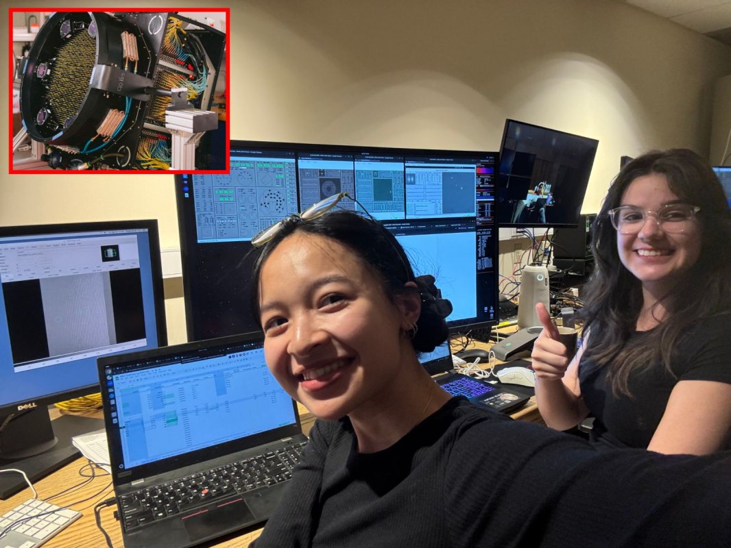 Géante rouge et SEO : leçons pour votre présence digitale