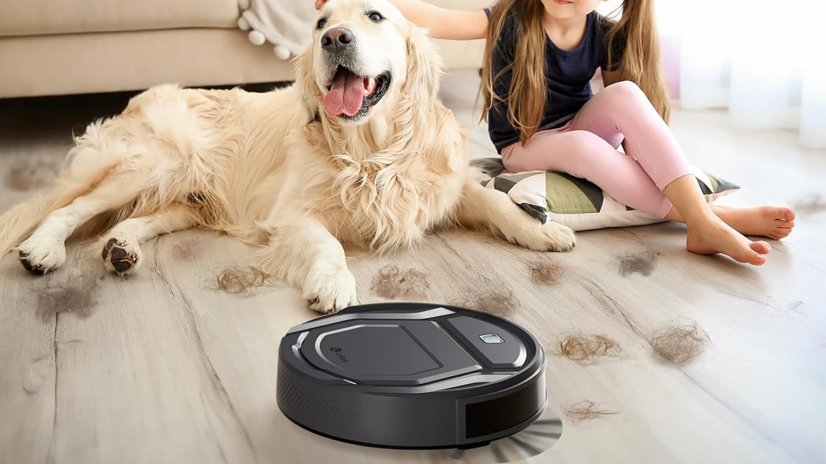Aspirateur robot : levier e-commerce pour le digital au Maroc
