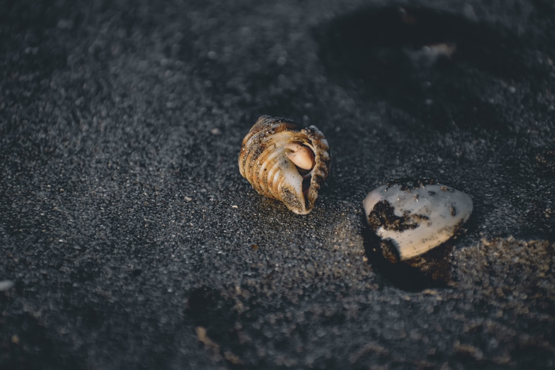 L'exploitation de React2Shell se répand rapidement