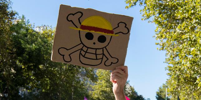 Le drapeau de « One Piece » s’est fait une place dans les manifestations en France