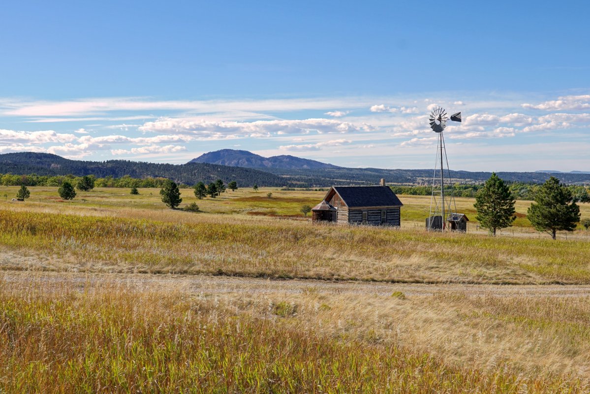 Transformation Digitale : L'IA face à un défi humain et stratégique