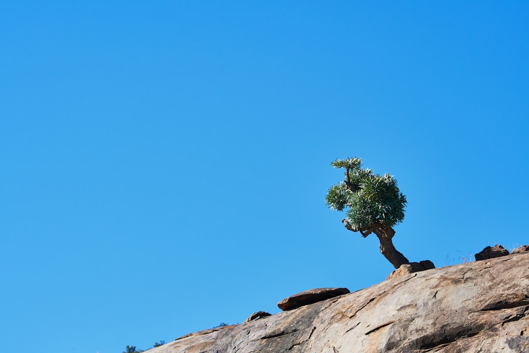 Juniper et HPE s'unissent pour dominer le marché des datacenters