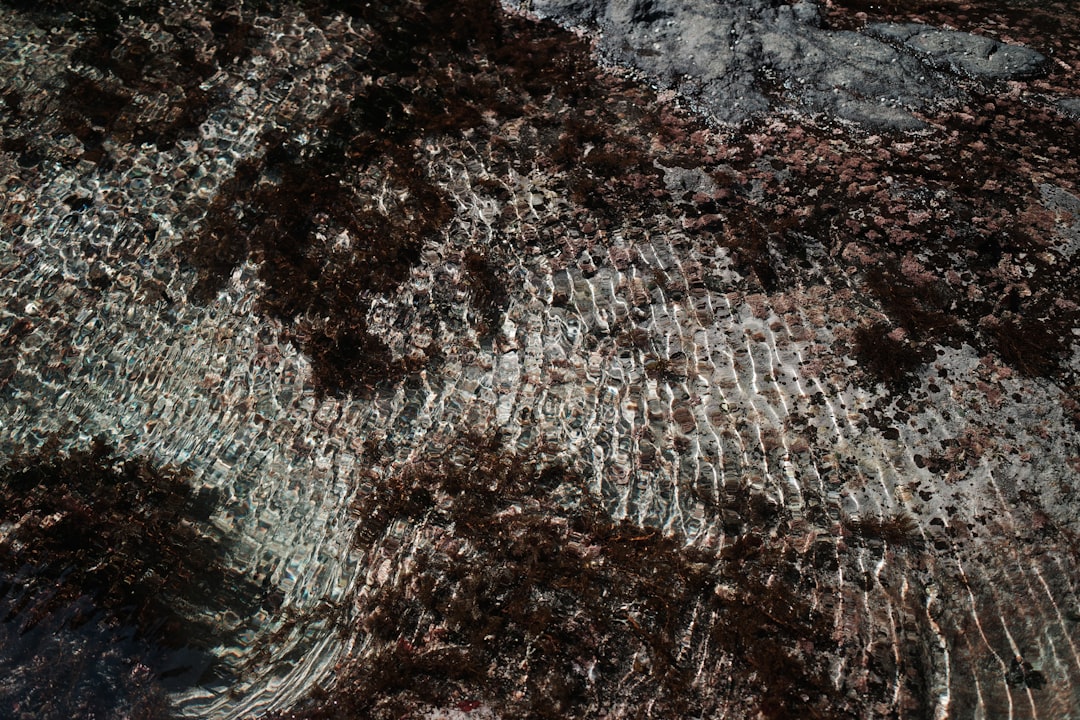 Les actions Terraform, le « crochet » d'HashiCorp pour se rapprocher d'Ansible