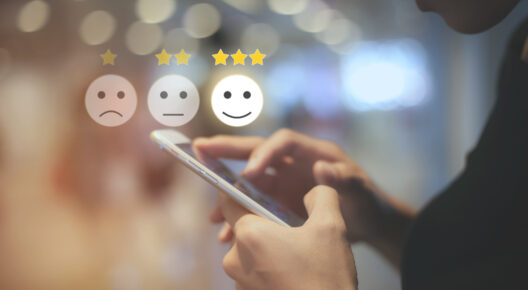Les chiffres du Social Commerce en France